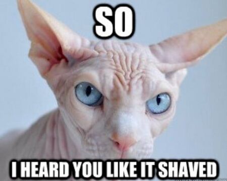 В епохата в която животът е достатъчно лек за да