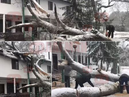 Сред доброволците откликнали на зова за помощ на майка Ксения