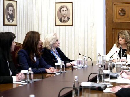 ДПС Ново начало изпрати изцяло женска делегация на консултациите при Илияна Йотова