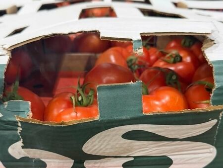 Над 14 тона недекларирани зеленчуци засечени на митническия пункт Лесово