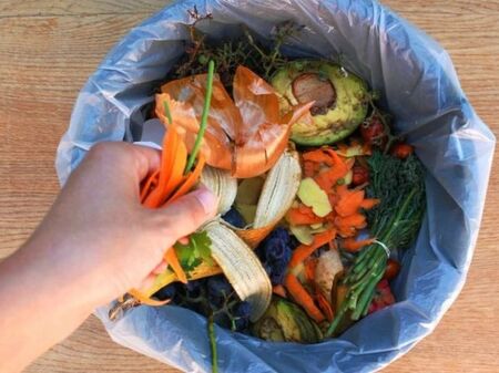 Всяко домакинство изхвърля годишно храна за 300 евро