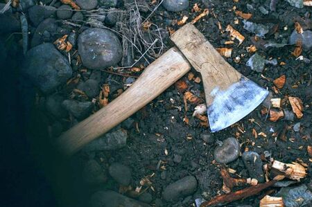 72-годишен пенсионер уби петима с брадва и чук