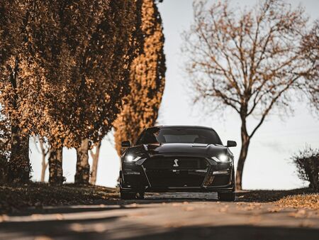 Извънредно! Петролен бос е застрелян в София