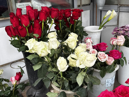 Цветарите чакат празника цяла година но продажбите не оправдават напълно