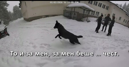 Нова загадка около „Петрохан“: Чий глас звучи от записите?