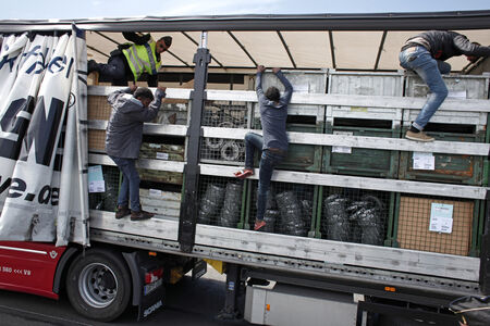 ЕС вкарва още половин милион мигранти, маскирани като шофьори