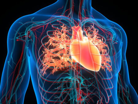 Студеното време натоварва сърцето и повишава риска от инциденти през зимата