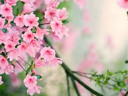 Времето през март: Температури от минус 7 до 26 градуса