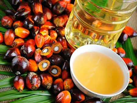 Експерт: Балансът е по-важен от демонизирането на палмовата мазнина