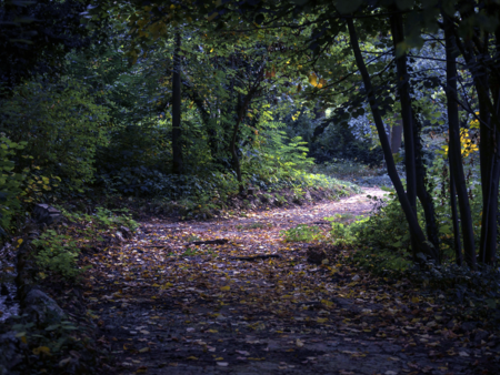 ЮИДП - Сливен: Активна борба с горските пожари и незаконните дейности през 2025 г.