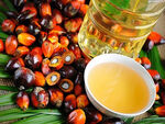 Експерт: Балансът е по-важен от демонизирането на палмовата мазнина
