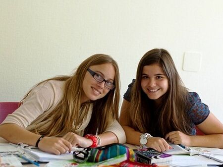 Ученици в Австрия се отказват доброволно от социалните мрежи