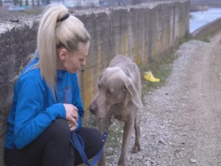 Българка скочи в 7-метров преливник, за да спаси кучето си