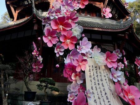 Китай привлича милиони туристи на фестивали на вишневия цвят