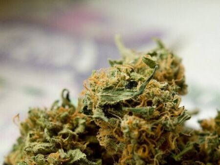 Задържаха 27-годишна  дилърка в Перник