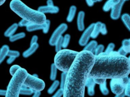 Намериха опасна бактерия на 5000 години в лед до България