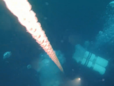 Отказ на двигателя е една от версиите при трагедията край Маслен нос