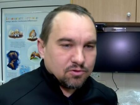 Два мъртви делфина и птици край Шабла вдигнаха институциите на крак