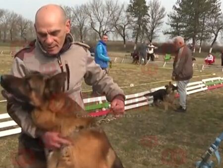 Немски овчарки събраха Бутан: над 50 кучета показаха сила, дисциплина и класа