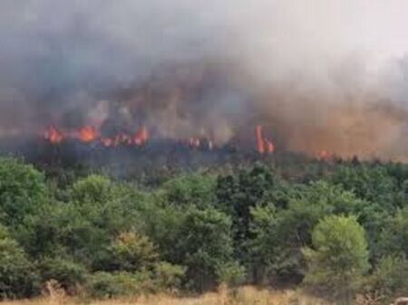 Непълнолетен предизвика пожар в горска територия