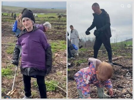 Кметът Димитър Николов и десетки доброволци се включиха в залесителна акция край кв. Банево