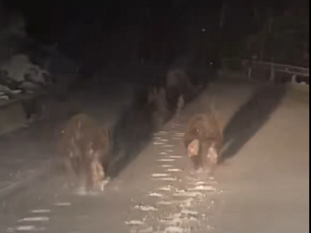 Такова нещо се вижда много рядко, а двама бургазлии са големи късметлии! (ВИДЕО)