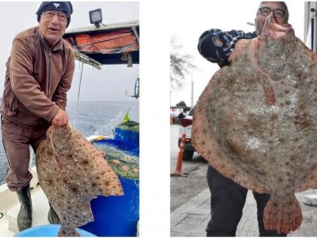 Гигантски калкан от 15 килограма извадиха в Черно море