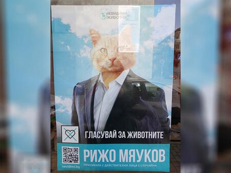 Бихте ли гласували за него? Вижте предизборната кампания на Рижо Мяуков