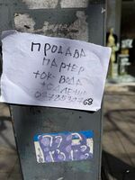 Авторът изобщо не подозира, че нарушава общинска наредба и трябва да бъде глобен