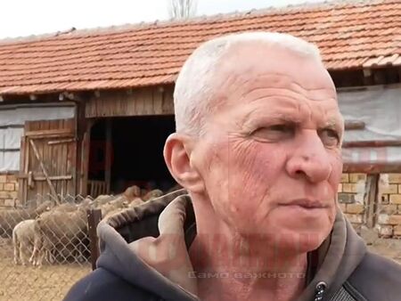 По-високи разходи, по-малко животни и напрежение по веригата на доставки вдигат цената на агнешкото точно преди празниците