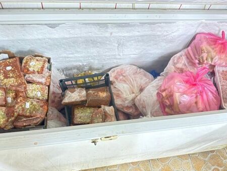 БАБХ насочи над 6,5 тона храни за унищожаване, сред причините ръждясало оборудване и лоша хигиена