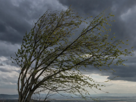 Времето се преобръща, жълт код за 6 области
