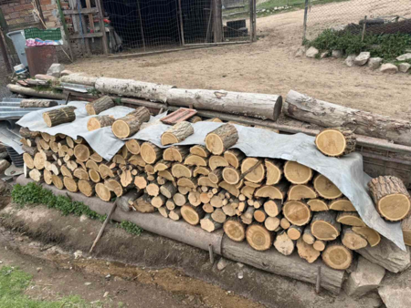 Съвместна акция в Градец разкри 10 нарушения и незаконна дървесина