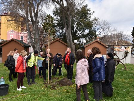 Поморие отбеляза Седмицата на гората с ново залесяване и две магнолии в центъра