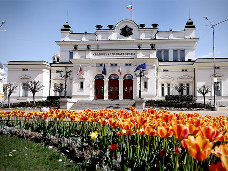 Обявиха архитектурен конкурс за ремонта на истинското Народно събрание