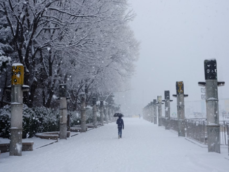 Снегокалипсис: Виелици и натрупвания в България, а при съседи е страшно