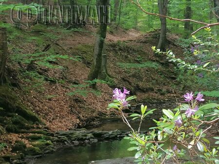 Обрат след обрата: Снегът отстъпва, но идва...