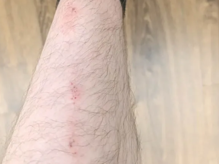 "Шоуто на Слави" отива в историята след 19 години на екран