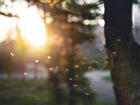 Лидерът на БСП-Бургас Живко Господинов: Няма да подкрепим Бюджет 2019 заради липса на прозрачност