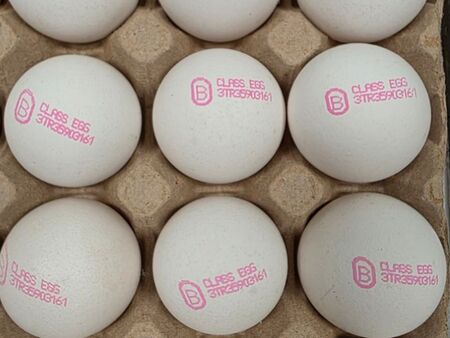 Върнахме близо 1,3 млн. яйца в Турция