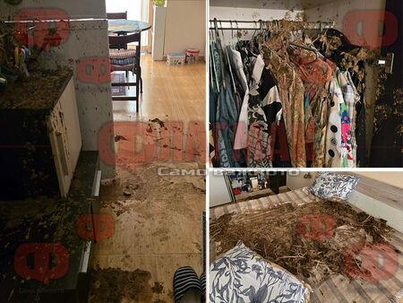 Брутално отмъщение в Свети Влас: Заляха с животински фекалии апартамент в луксозен комплекс (ВИДЕО)