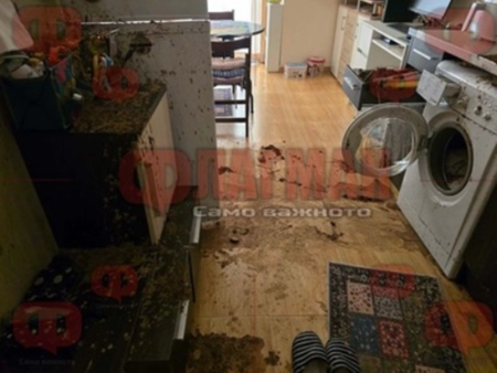 Ексклузивно! Иван Пачев отговори на обвиненията за атакувания с фекалии апартамент в Свети Влас