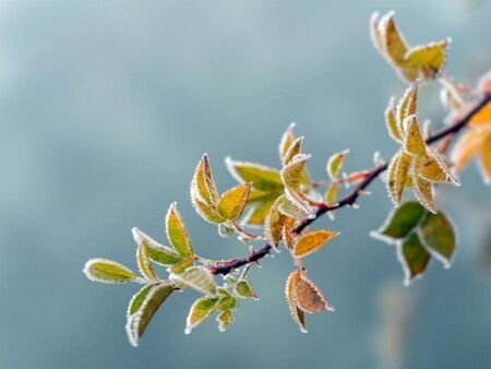 Зимата се завръща! Отрицателни температури и жълт код за опасно време за утре