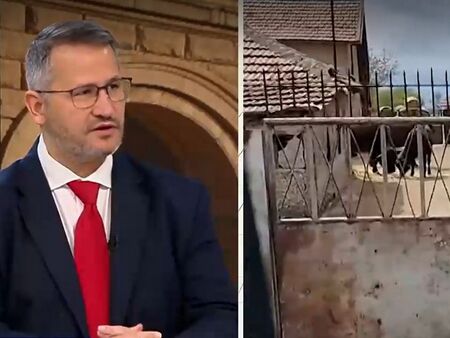 Две огнища на антракс са открити и изолирани в България