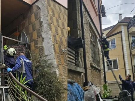 "Котешки скандал" провокира реститутки да се барикадират в дома си в Пловдив