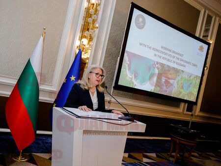 Задава се вълна от туристи от Германия и Обединеното кралство към курортите ни