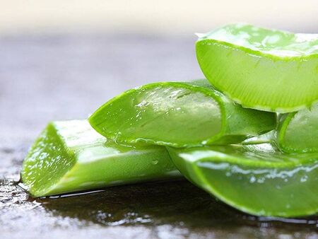 Алое вера подпомага храносмилането и контрола на холестерола
