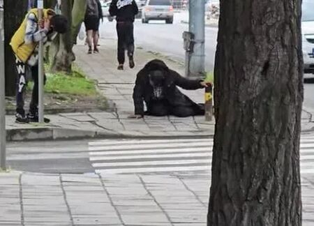 Фентанилови "зомбита" се появиха в Пловдив (СНИМКИ)