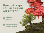 Бонсай курс за младежи ще се проведе в Бурга за първи път по врема „Флора“ 2026