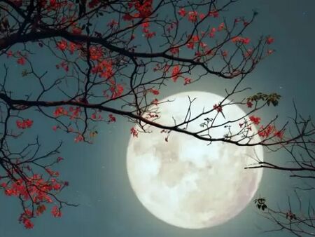 Пълнолунието на 1 май отваря темата за интимност за тези 3 знака